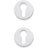 1 Pair Rosettes Hole Cylinder Compatible with Yale Hole Door