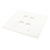 DIYTECH Keystone Wall Plate, 2 Gang Keystone Wall Plate, 4