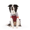 Reddy Burgundy Colorblock Dog Sweater, 3X-Large
