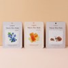 (30 sheets) Nature Skin Nourishing Mask Pack (Snail, Berry, Royal)