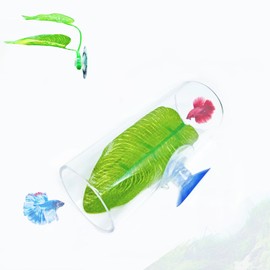 DODOAQUA Betta Fish Acrylic Tube Tunnel,Hollow Design for Better Observation of Betta Fish, Betta Fish Tank Decorations Two Size Two Colors (3, Clear)