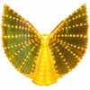 Rainbow LED Light-Up Butterfly Wings Costume, Illuminated Dance Wings for