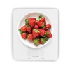 Salter Boston Kitchen Scale - 5kg Capacity, Add & Weigh