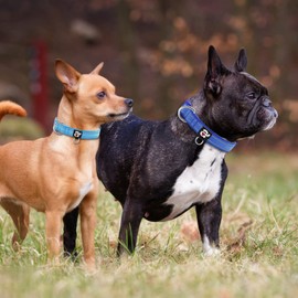 azuza 2 Pack Neoprene Padded Dog Collar for Small Dogs, Reflective Dog Collar with ID Tag Ring, Adjustable Safe and Comfy Dog Collars,Royal Blue/Sky Blue,XS