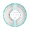 SWEED - No Lash Cluster Duo False Eyelashes | Vegan,