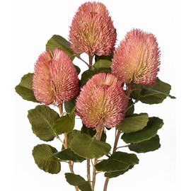 GnFlus - 4 ramos de flores artificiales de 23 pulgadas, flores falsas de otoño, color rosa, tallo largo, flores de Banksia, arreglos florales para el hogar, recámara, mesa, boda, fiesta, decoración