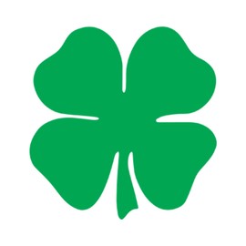 Shamrock 4 Leaf Clover Vinyl Decal Sticker for Cars Trucks Windows Bumpers Walls Laptops Skins - 5.5 Inches at Largest Point - Green with No Background - KCD3283