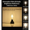 OPALRAY Low Voltage DC 12V/24V 6W LED Bulb, Edison Style