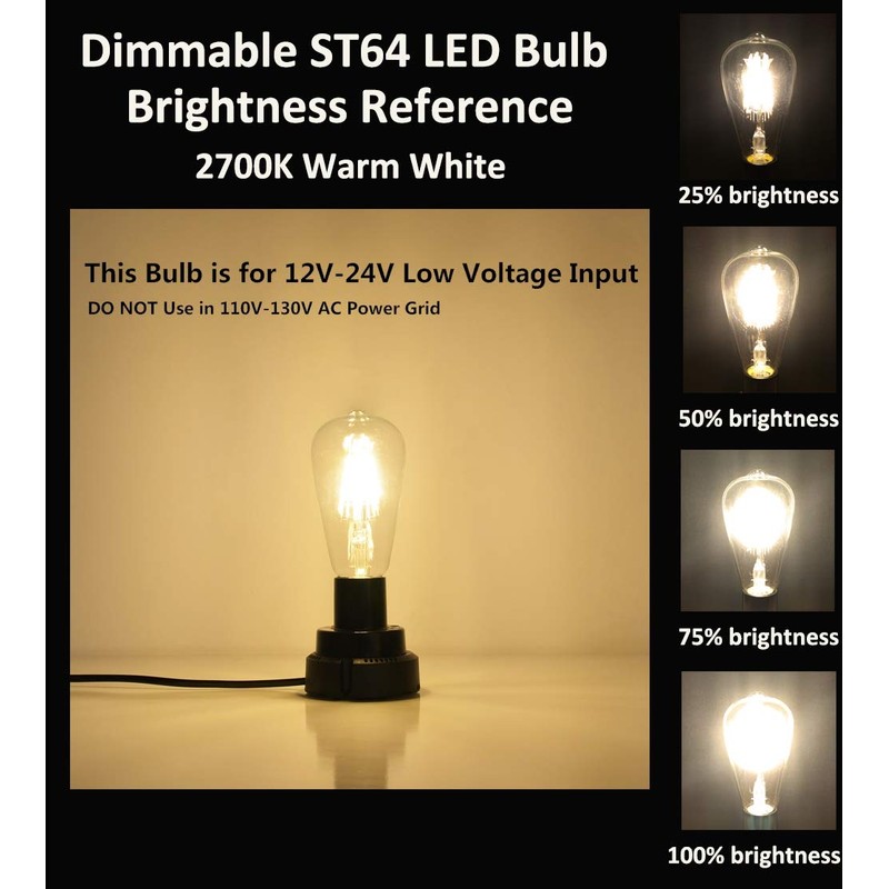OPALRAY Low Voltage DC 12V/24V 6W LED Bulb, Edison Style