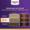 Palette Tinte para cabello Color Creme Rubio Cobrizo Oscuro 6-78,