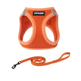 Voyager Step-in Air Cat Leash Harness Set - All Weather Mesh, Step in Vest Harness for Small and Large Cats by Best Pet Supplies - Orange, M (Chest 15-17")
