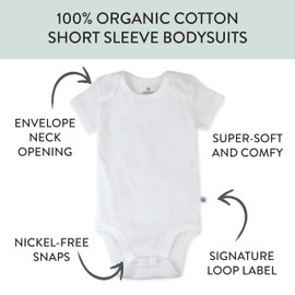 HonestBaby 5-pack Short Sleeve Bodysuits One-piece 100% Organic Cotton for Infant Baby Girls, Daisy Daze, 6-9 Months