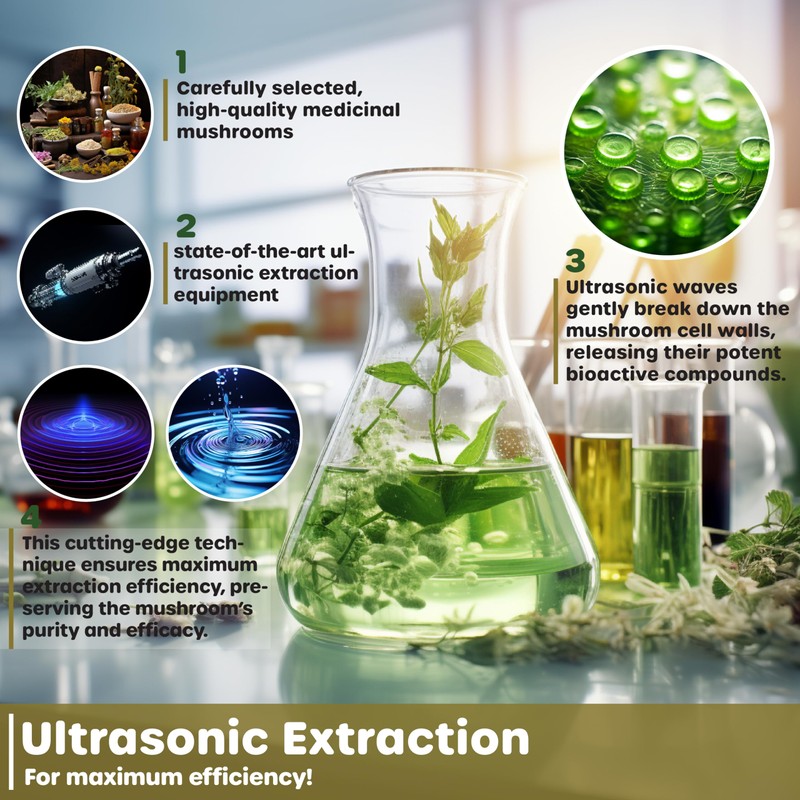 FUNGISIP Lion's Mane, Reishi, Chaga Supplement - Fungoccino: Organic Medicinal