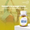 COMPLEJO B | NatGel Complejo B Completo con Omega 3