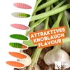 Zite Fishing Attracta Larv Floating | Pack of 8 Flavoured