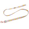 Lionet Paws Dog Leash and Matching Collar for Small, Medium,