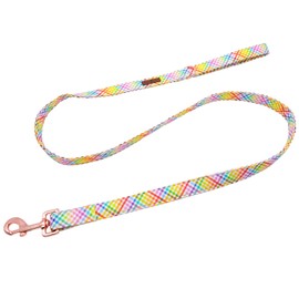 Lionet Paws Dog Leash and Matching Collar for Small, Medium, Large Dogs
