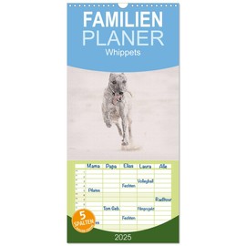 Familienplaner 2025 - Whippet 2025 mit 5 Spalten (Wandkalender, 21 cm x 45 cm), CALVENDO
