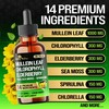 14in1 Mullein Liquid Drops with Mullein, Elderberry, Sea Moss, Spirulina,