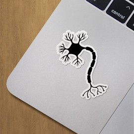 Decal Stickers of Nerve Cell Neuron Brain 1 Premium Indoor (No Waterproof) Vinyl Decal Stickers for Laptop Phone Accessory Helmet Car Window Mug Tuber Cup Door Wall Decoration ANDVER379462aBL