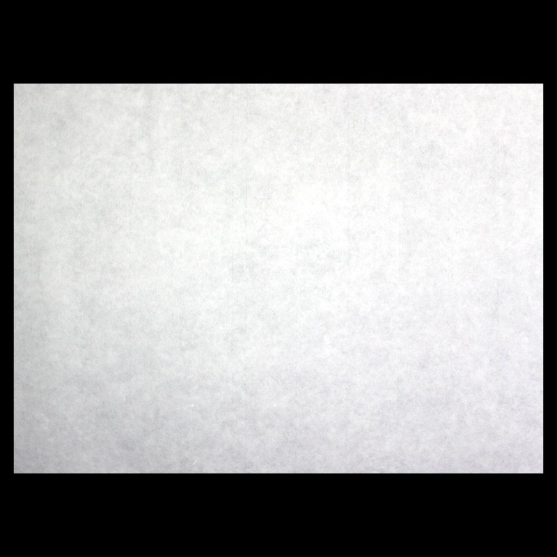 Fighters Elephant 半紙 Water 墨画 半紙 50 Count 3-Pack, 4