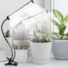 GooingTop Grow Light 100W 6000K, Super Bright White Desktop Clip