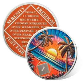 Beach Sunset 1 Year Sobriety Coin, Affirmation NA Coin, Addiction Recovery One Year Sober Chip, Celebrating Recovery Anniversary Token, Narcotics Anonymous Sobriety Gifts for Men Women
