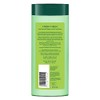 Biotique Bio Neem Margosa Champú y acondicionador anticaspa, 180 ml