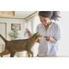 Inaba Usa504 Ciao Grilled Cat Treat With Added Vitamin E,