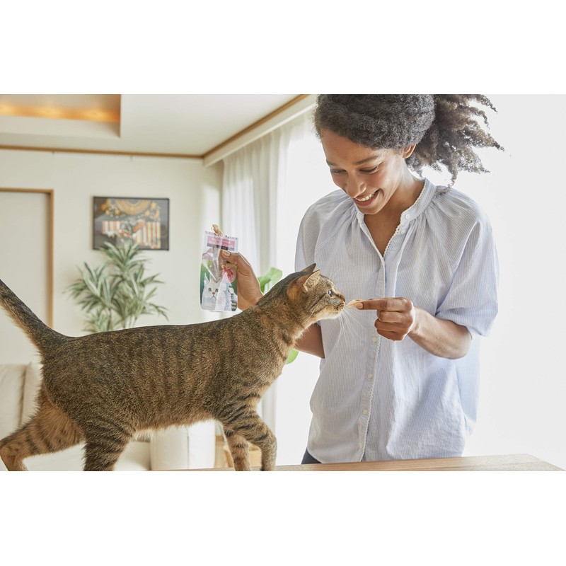Inaba Usa504 Ciao Grilled Cat Treat With Added Vitamin E,