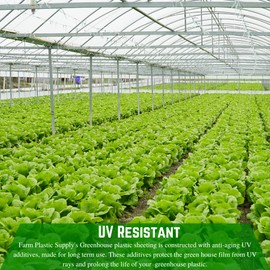 Farm Plastic Supply - String Reinforced 4 Year UV Resistant 10 mil Clear Greenhouse Plastic Sheeting - 4 Year UV Resistant Polyethylene Greenhouse Film, Hoop House Green House Cover (6' x 50')