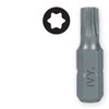 IVY Classic 45290 1-Inch T6 Torx Insert Bit, Impact Plus,