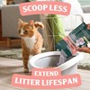Cat Litter Deodorizer | Odor Eliminator for Litter | Smell