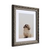 Tailored Frames Picture Frames, 8"x8" for 5"x5", White Mount