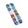 Baluue Nail Art Powder Chameleon Glitter Sequin Flakes Manicure Kit