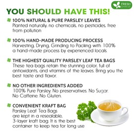 FreshDrinkUS, Premium 55 Parsley Leaf Tea Bags, 100% Natural & Pure from Parsley Leaves. Loose Leaf Parsley Herbal Tea. Made with Natural Material Tea Bags. No Sugar, No Caffeine, No Gluten, Vegan.