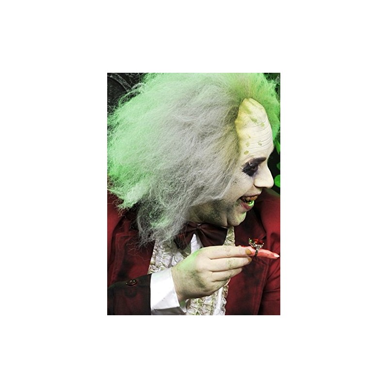 Adult Deluxe Beetlejuice Style Wig Headpiece one size