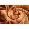 New Solaron King Size Lion Korean Mink Blanket