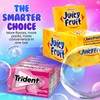 Fruit Flavored Chewing Gum Variety Pack by D.F. LUXURY -