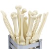 MagicW Creative Novelty Bone Shape Ballpoint Pens Finger Pen Nurse