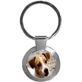 Jack Russell Dog Luxury Round Shaped Metal Keyring In A Gift Box