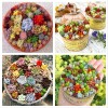 Rare Beautiful Mixed Succulents Seeds, 100pcs/pack