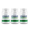 NAIMA Kit 3 Frascos de Citrato de Magnesio 500 mg