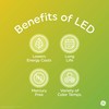 GE LED 9-Watt, 650 Lumens, (65W Equivalent) Soft White, BR30