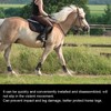 2 Pair Elastic Horse Boot Thicken PU Front Hind Boots