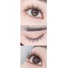 Natural False Eyelashes, Natural Eyelashes, Premium Fiber, Soft and Long