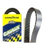 Continental Elite Serpentine Poly-V The Quiet Belt GOODYEAR GATORBACK 4050355