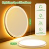 zemty 12 Inch LED Ceiling Light with Night Light 1800K,