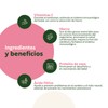 Biofolic-400 C/60 Tab / Ácido Fólico, Vitamina C, Hierro