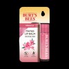 Burt's Bees Tinted Lip Balm Hibiscus 4.25g / 틴티드 립밤 히비스커스 4.25g